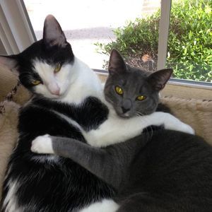 Meet your Posher, Linda